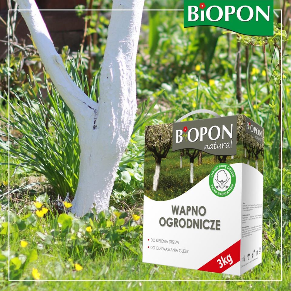 WAPNO OGRODNICZE 1KG Biopon