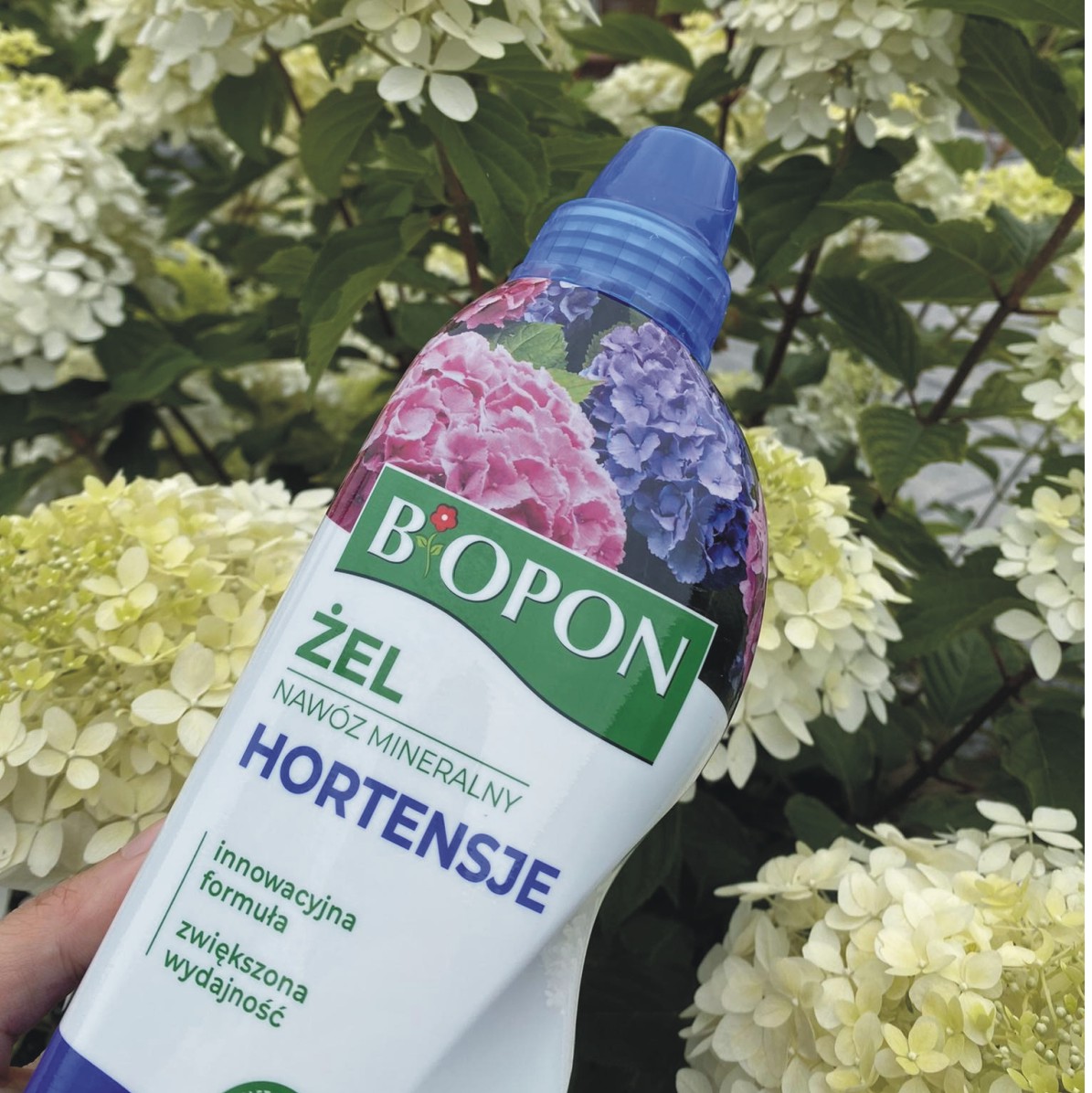 NAWÓZ DO HORTENSJI ŻEL 0,5L Biopon